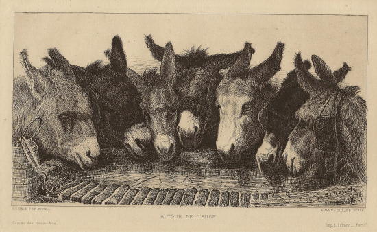 donkeys_at_well.small.jpg